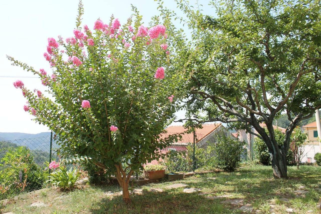 Ferienwohnung La Casetta Di Graziella Vezzi Portio Exterior foto