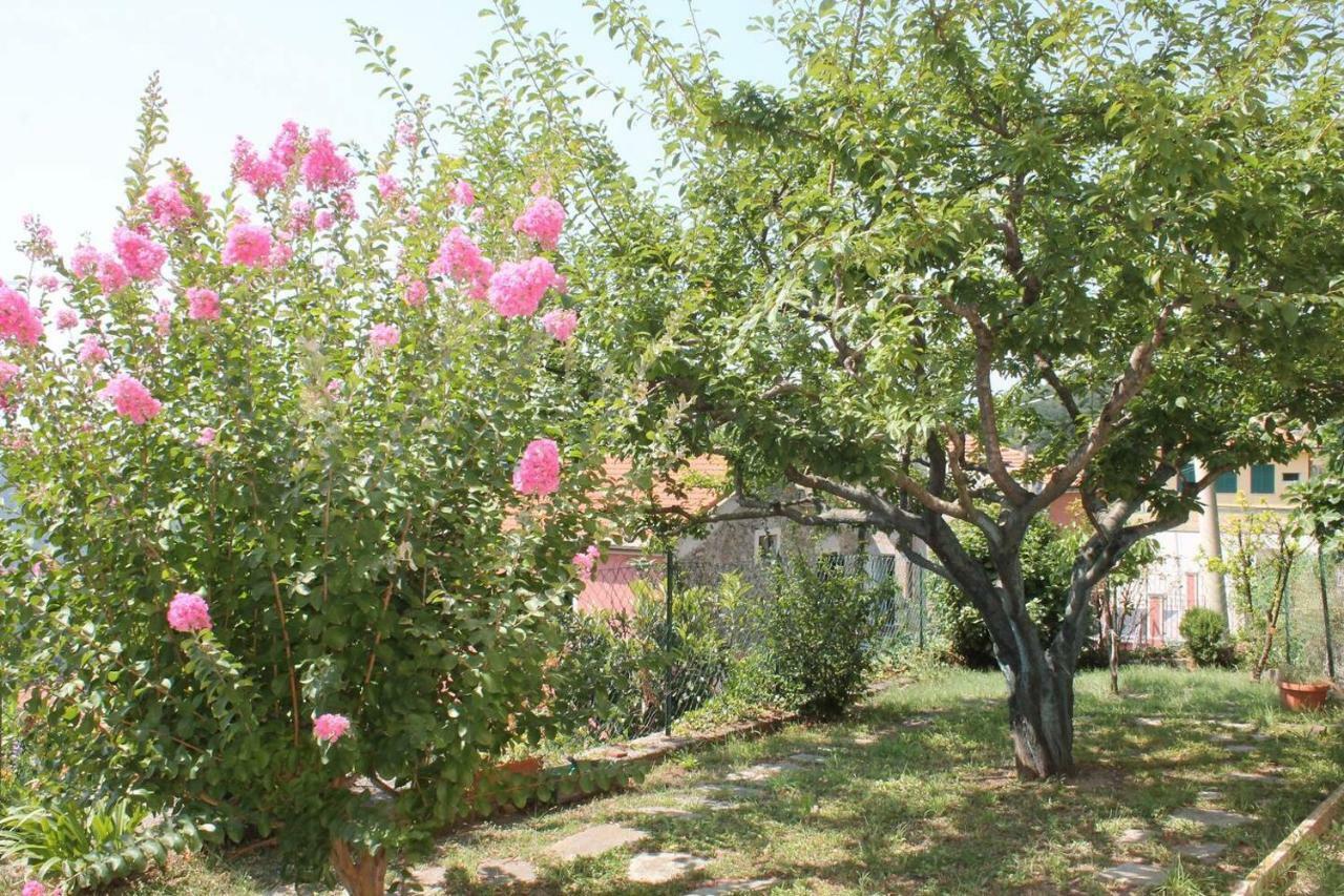 Ferienwohnung La Casetta Di Graziella Vezzi Portio Exterior foto